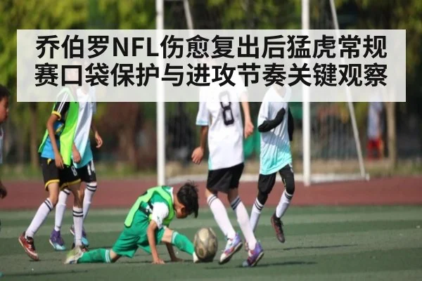 乔伯罗NFL伤愈复出后猛虎常规赛口袋保护与进攻节奏关键观察